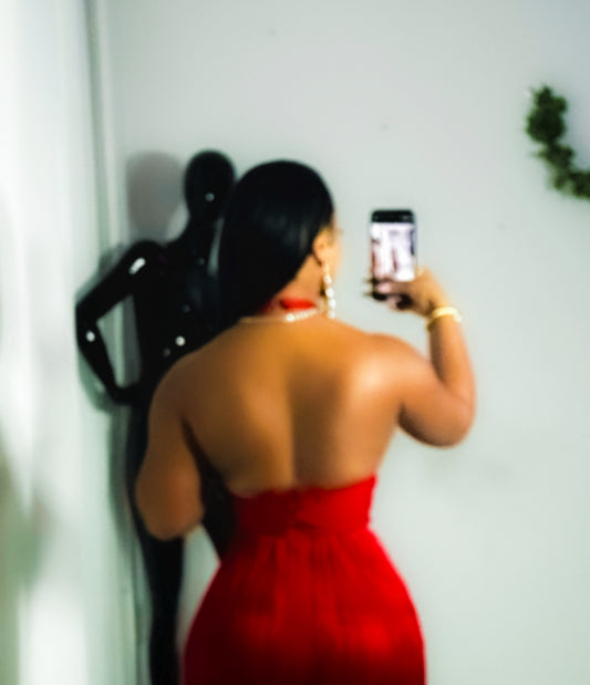 Robyn Shingle red Dress