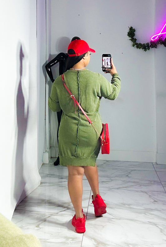 Daja sweater dress top