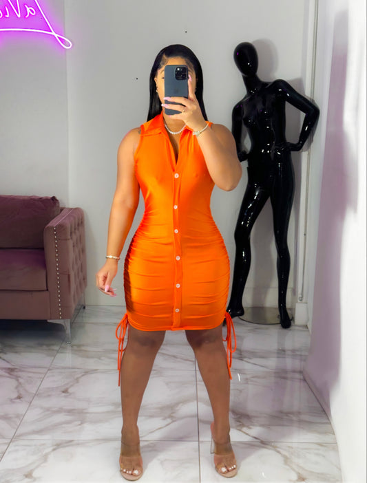 Michele button down dresss