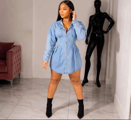 Dessi denim dress